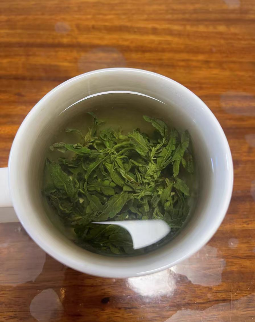 枸杞芽茶是热性还是凉性？枸杞芽茶的功效与禁忌和副作用