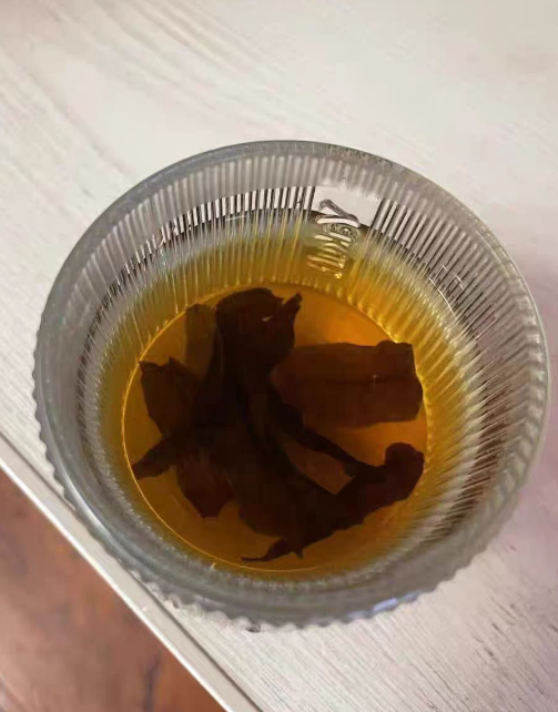 青钱柳种子怎样播种？青钱柳播种时需要遮阳吗