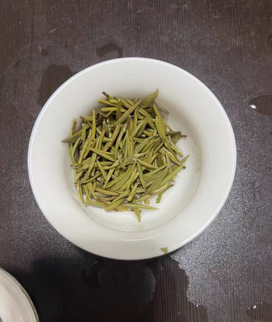 踏雪兰妃有几个品种？踏雪兰妃哪个品种好种植
