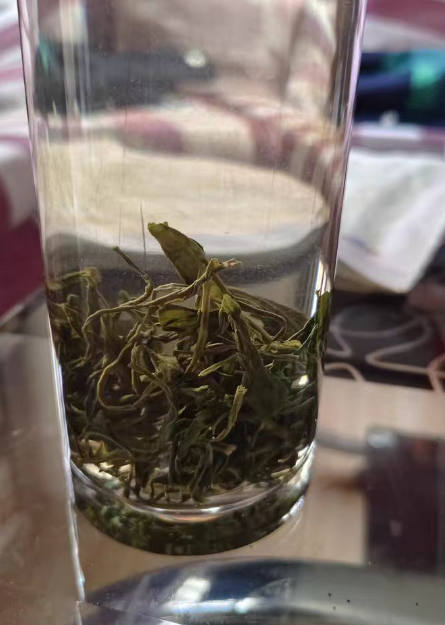 黄山毛峰是炒青还是烘青？天方黄山毛峰好不好