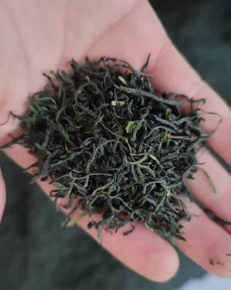 嘉木饮毛尖属于什么级别？嘉木饮信阳毛尖与文新区别