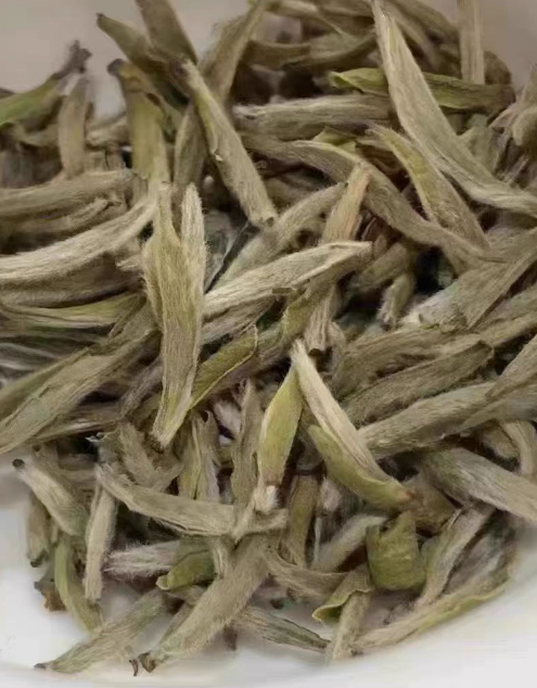 白毫银针年份越久越好吗？白毫银针哪个品牌最正宗