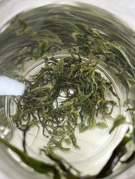 谢裕大只卖黄山毛峰吗？谢裕大有哪些茶叶