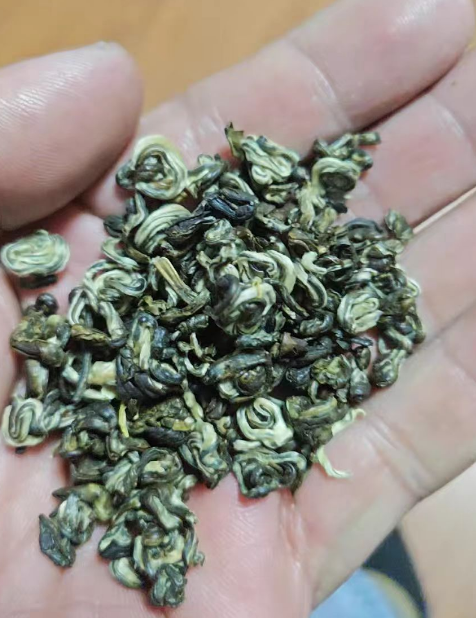 玉螺和碧螺春有什么区别？玉露春的碧螺春算好吗?