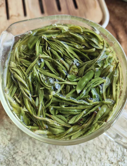 白茶哪个品种最好？极白白茶和芳羽白茶哪个质量好