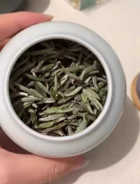 白毫银针年份越久越好吗？白毫银针哪个品牌最正宗