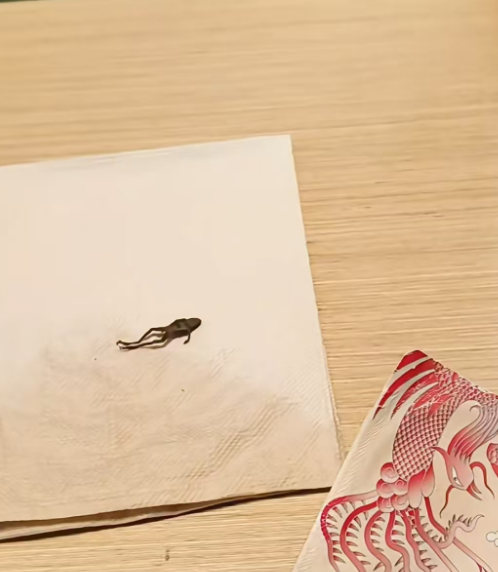 上热搜！奈雪的茶茶盒内惊现整只青蛙，当事人直呼恶心！