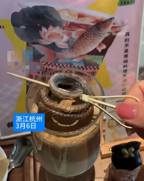 咖啡店花式整活？这些奇葩咖啡你喝过几款？