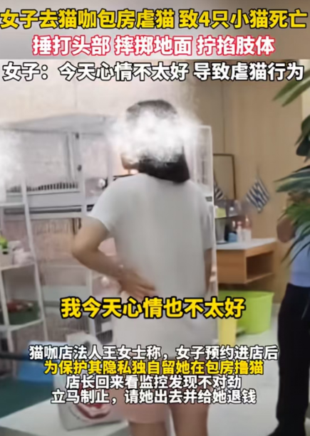 女子去猫咖包房虐猫 致4只小猫死亡！引发公众强烈谴责！