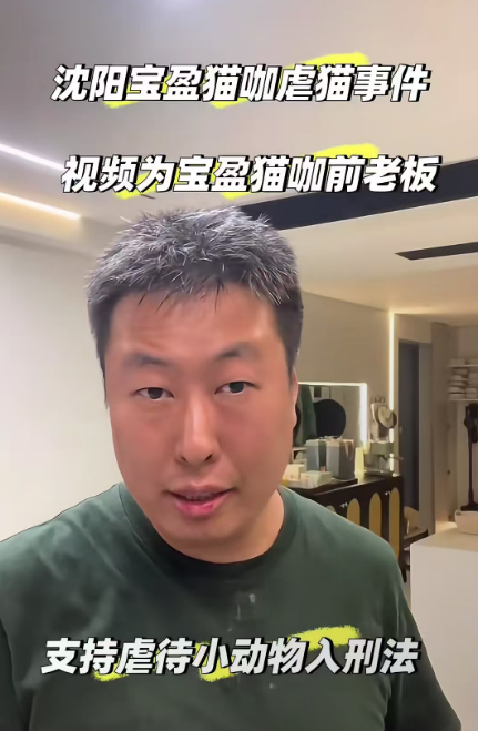 女子去猫咖包房虐猫 致4只小猫死亡！引发公众强烈谴责！