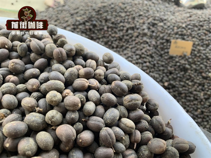 SOE拿铁的风味特点:产区香气与牛奶的组合