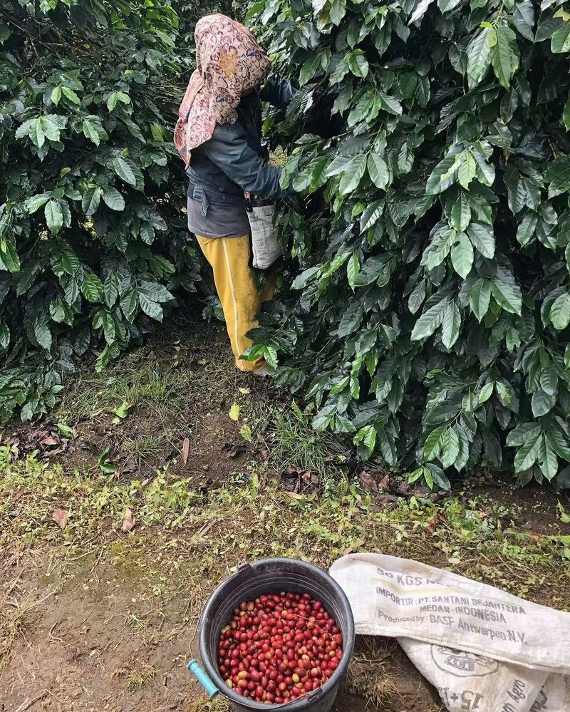 开店用的咖啡豆怎么挑：器具固定时怎么换出新鲜感
