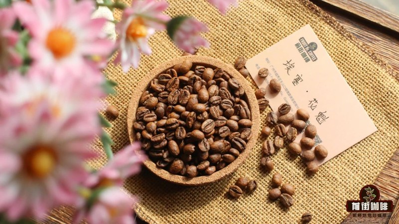 精品豆配摩卡壶：小壶里的产区风味