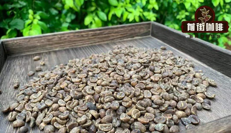 耶加雪啡SOE风味词典：果香花香对应哪支豆