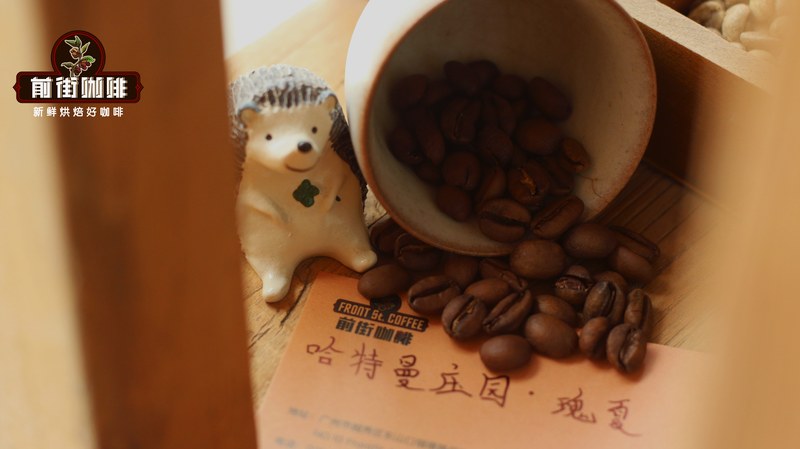 不知道怎么送咖啡豆才得体?从入门好友到长辈的拼配选礼清单