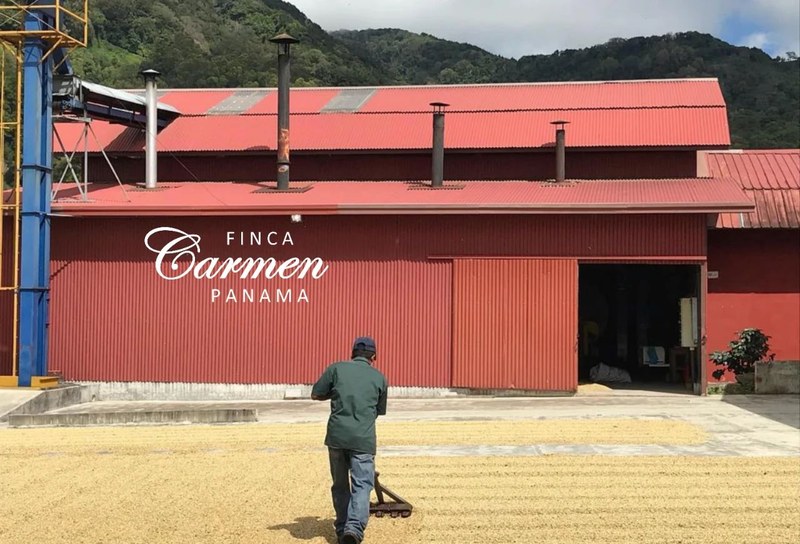 意式精品咖啡豆怎么选:从稳定日常到风味变化