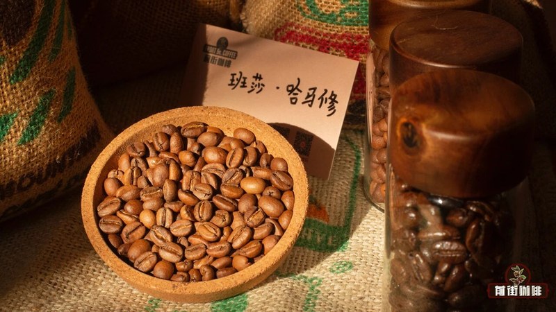 水洗豆怎么选:在稳定与变化之间找答案