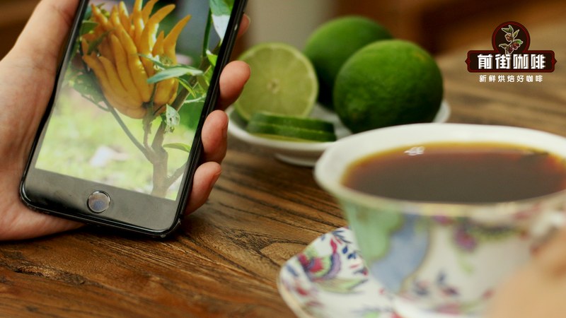 冷萃杯里的风味地图：果香花香到可可回甘怎么选