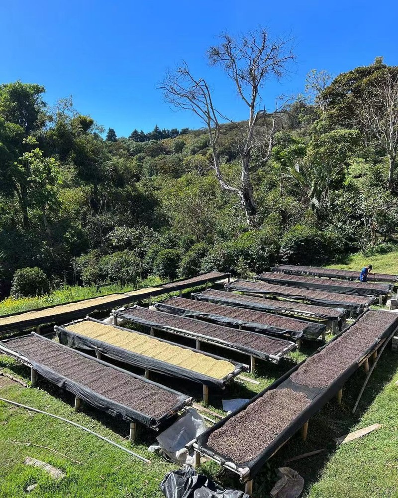 工位摸鱼想喝现磨级香气？按预算挑对挂耳不用器具也能满屋飘香