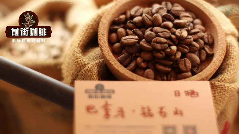 百元口粮豆怎么选:在稳定出杯与风味变化间找到平衡