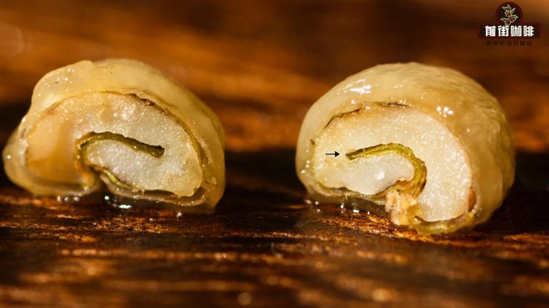 意式机中烘豆怎么选:在稳定出杯与风味变化间找平衡