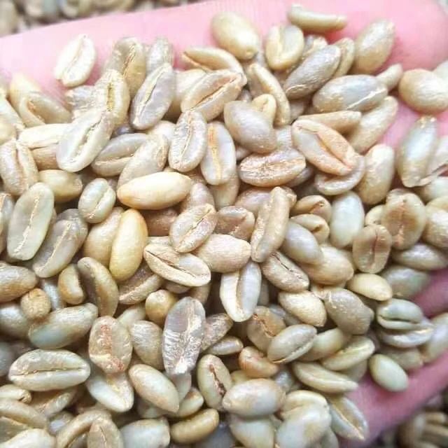 周末在老城区闻着烘焙香漫步，看懂等级与手选挑出透亮纯净风味