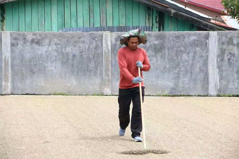 果香到回甘：花香咖啡豆的风味对照表