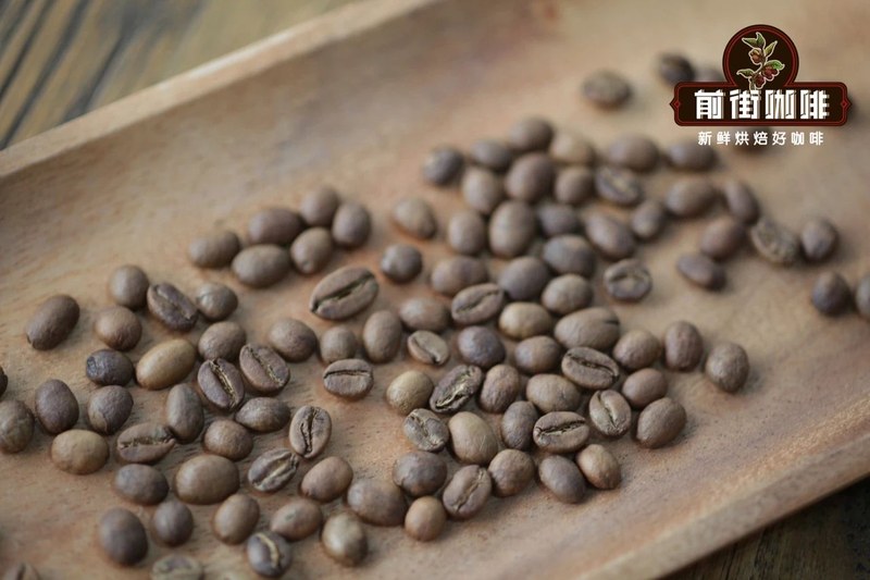 摩卡壶精品咖啡豆怎么选：在稳定与变化间找到口味