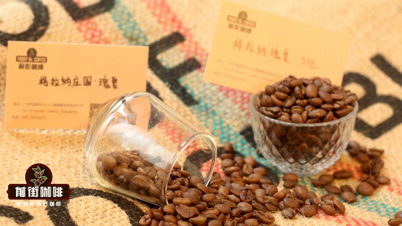 炎炎午后从冰箱倒出一杯清凉冷萃，看懂生豆等级选出纯净花果甜