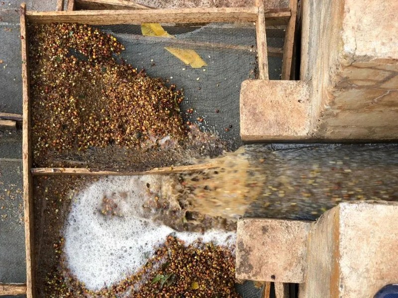 意式豆袋上的五种风味词,分别该怎么喝