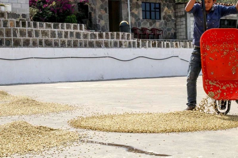 意式咖啡豆怎么选:在稳定出杯与风味变化间取舍