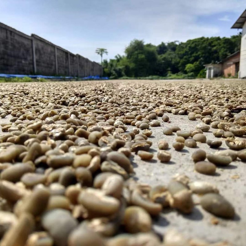 莓果香不只一种：看懂风味词再选咖啡豆
