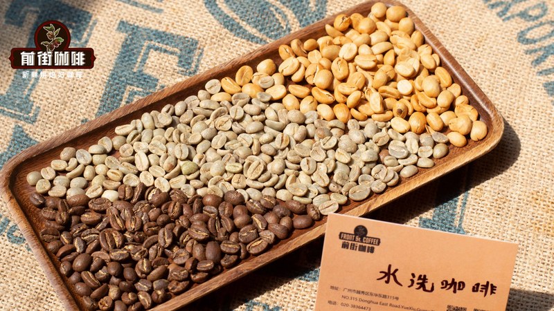 带你喝懂瑰夏的复杂风味谱:从浓郁奶咖过渡到轻盈花果茶