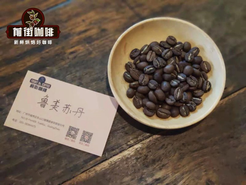 怕失眠又想喝手冲？三档预算挑对阿拉比卡低因口粮从容喝整天