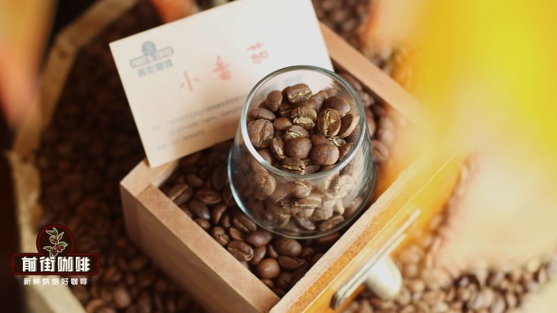 咖啡小白识酸：肯尼亚番茄汁感入门课