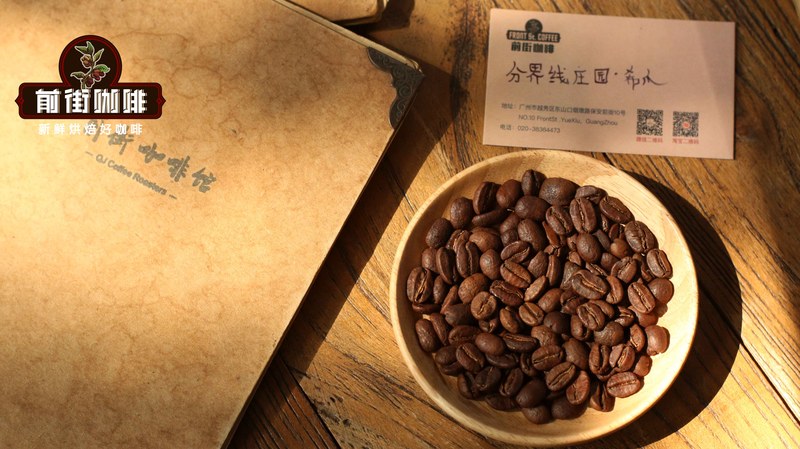 同一支咖啡豆，处理法不同发酵感差很多