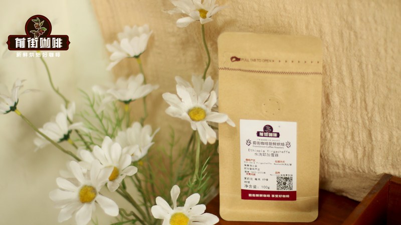 小白咖啡头一杯,二十六岁爱上冰镇橘子汽水的味道