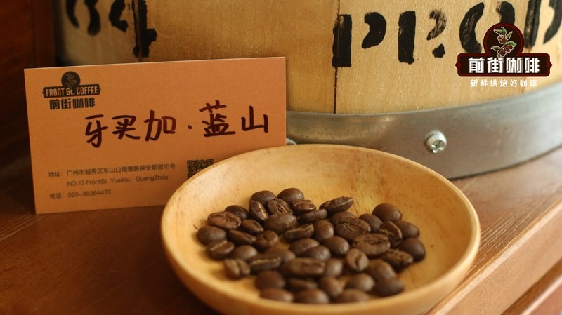 蓝山风味：初学咖啡的均衡起点