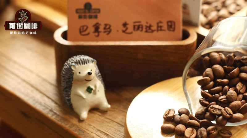 巴拿马咖啡怎么挑，庄园与竞赛说了算