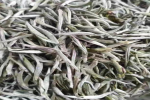 踏雪兰妃茶属于什么茶？踏雪兰妃的味道是不是香精