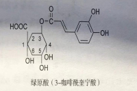 咖啡预防感染新冠? 适量喝咖啡可以预防哪些疾病