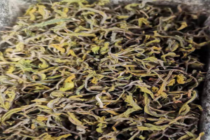 惠明茶是不是好茶？惠明茶是哪里的特产
