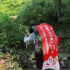 男子背80斤蜜雪冰城上山售卖15元一杯！网友：良心价！