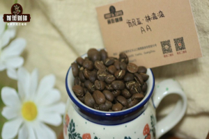耶加雪菲拿来送礼怎么选？朋友老饕长辈的体面心意搭配指南