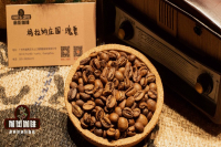 端起杯子就有花香的咖啡，新手照着这两条线索挑