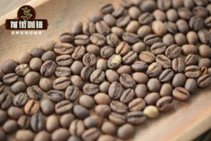 新手咖啡找甜不绕路，家里什么壶配什么豆一次说清