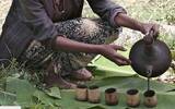 埃塞俄比亚柯契尔合作社Aramo处理场产地信息咖啡风味特点