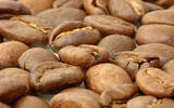 云南产咖啡豆的品质如何？主要品种介绍