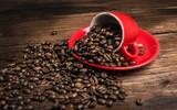阿拉比卡(ARABICA)和罗布斯塔(ROBUSTA)咖啡豆