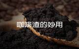 咖啡渣的十二大妙用——居然可以洗脸洗头？